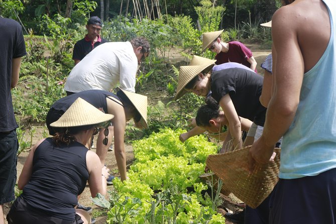 From Ubud: Authentic Bali Farm Cooking School & Organic Farm - Is $38 Good Value?