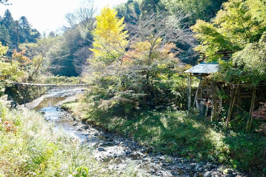 Fujieda: Suisha-mura Traditional Japanese Cooking Experience - What makes Hoshi-san an important part of the visit