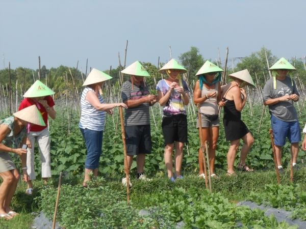 Full-Day Farming & Cooking class at Agricultural Village - Key points to know before you book