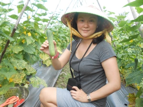 Full-Day Farming & Cooking class at Agricultural Village - Picking produce with a basket and scissors