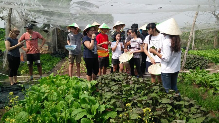 Full-Day Farming & Cooking class at Agricultural Village - The main drawback: confirm the full-day schedule