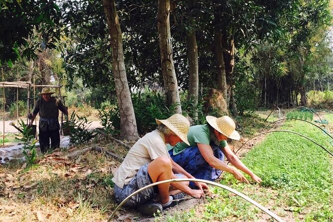 Full Day Siem Reap Farm Tour with Cooking Class and Monk Blessing - Leaving Siem Reap for Krabei Riel