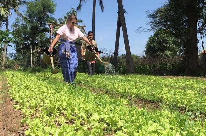 Full Day Siem Reap Farm Tour with Cooking Class and Monk Blessing - Why the small group matters