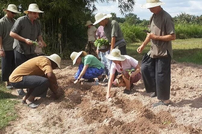 Full Day Siem Reap Farm Tour with Cooking Class and Monk Blessing - What the $45 price really covers