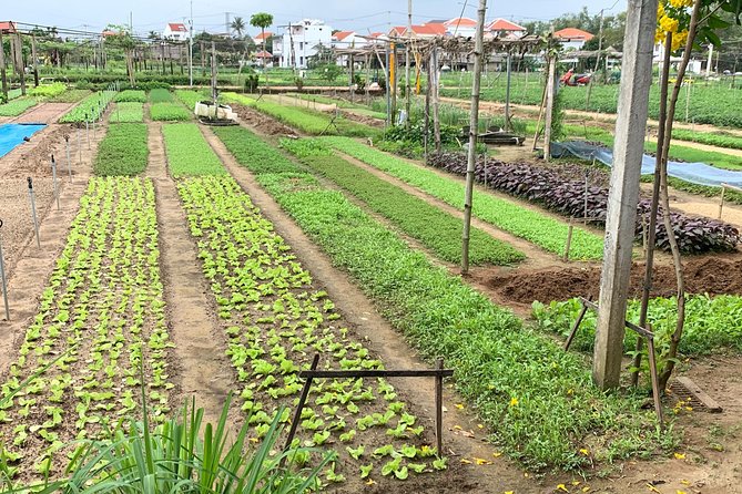 Full Experience Tour: Cooking Class & Basket Boat at Eco-Village - Key Points Before You Book