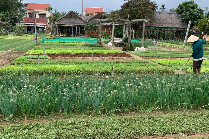 Full Experience Tour: Cooking Class & Basket Boat at Eco-Village - Rowing a Basket Boat Near Hoi An