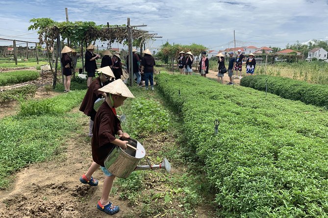 Full Experience Tour: Cooking Class & Basket Boat at Eco-Village - What the $52 Price Really Includes