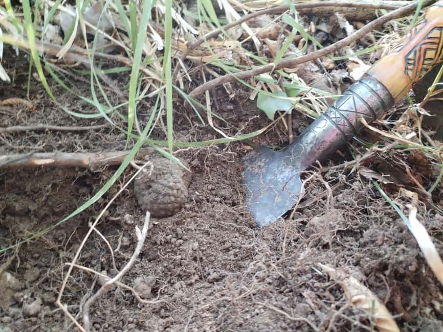 Gažon to Istria: Truffle Hunting, Cooking & Tasting - Small details that improve the day