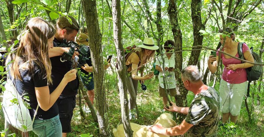 Gažon to Istria: Truffle Hunting, Cooking & Tasting - Why Gažon is a good setting for truffle hunting