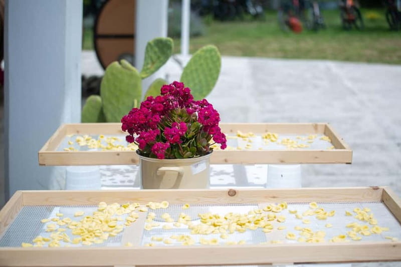 Gioia del Colle: Apulian Cooking Class in a Masseria - Should you book the Gioia del Colle cooking class?