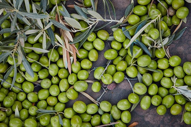 Gourmet Cooking Class & Culture in the rural Montes de Malaga. - A welcoming choice for families and food lovers