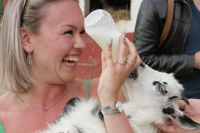 Gourmet Lunch Farm Tour with Cooking Class - Is $90.31 a fair price?
