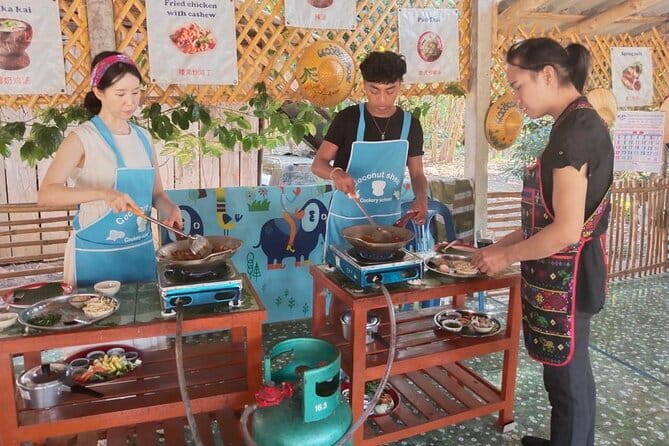 Half Day Chiang Mai Cooking Class and Market Taste Tour - Key Points Before You Book