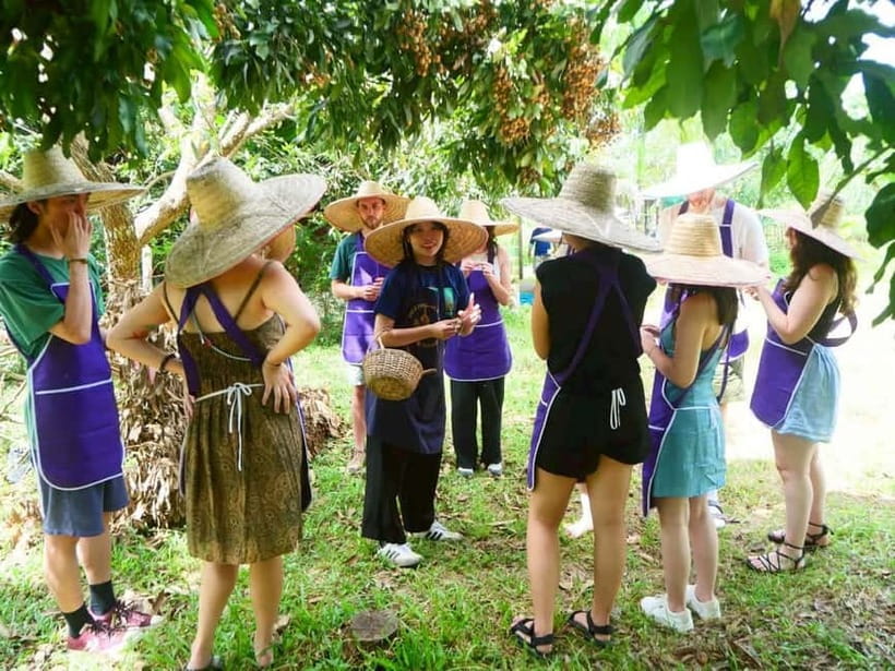 Half-Day Thai Cooking Class on a Local Farm Near Chiang Mai - From market baskets to the organic farm