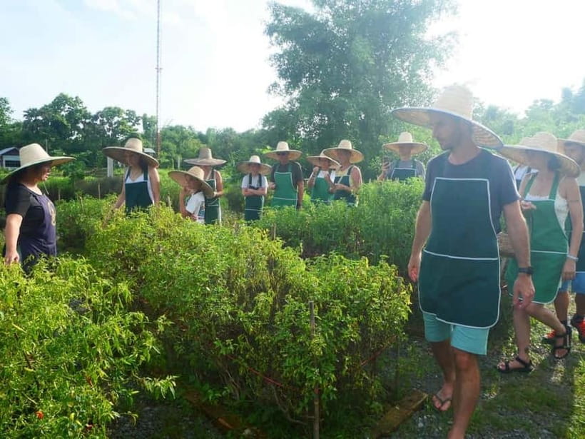 Half-Day Thai Cooking Class on a Local Farm Near Chiang Mai - Pool time after the last dish