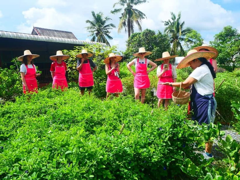 Half-Day Thai Cooking Class on a Local Farm Near Chiang Mai - What you take home besides lunch