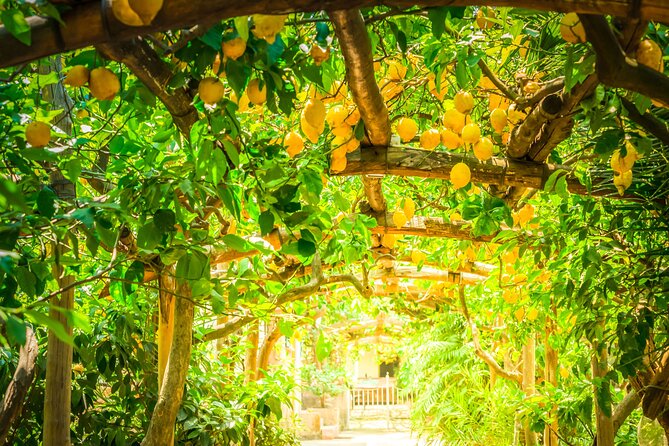 Hands-On Cooking Class & Farmhouse Tour on the Amalfi Coast - Is $156 a good value?