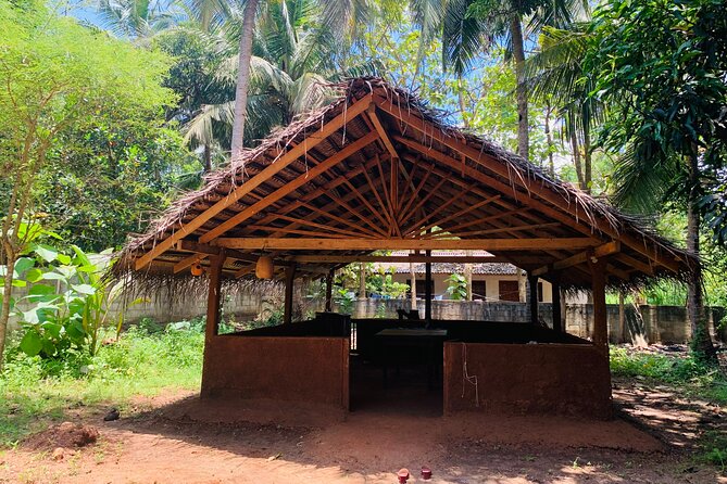 Hands-On Cooking Class in Anuradhapura: Cook Like a Local - Picking a Coconut and Preparing the Basics