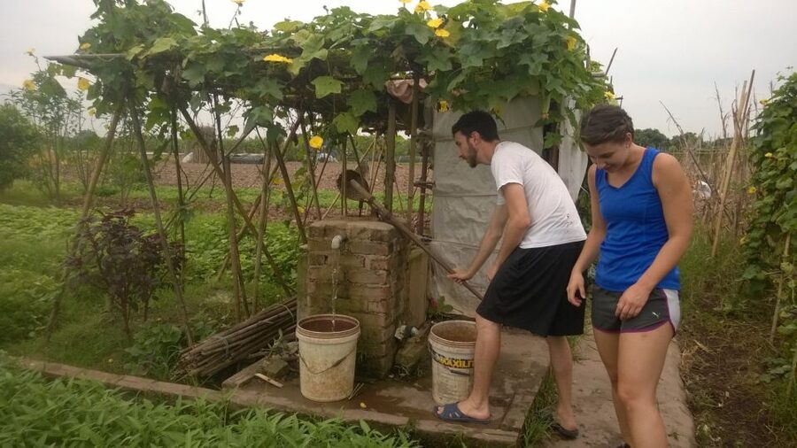 Hanoi Farm Tour and Cooking Class with Local Family - Cooking in a Vietnamese family home