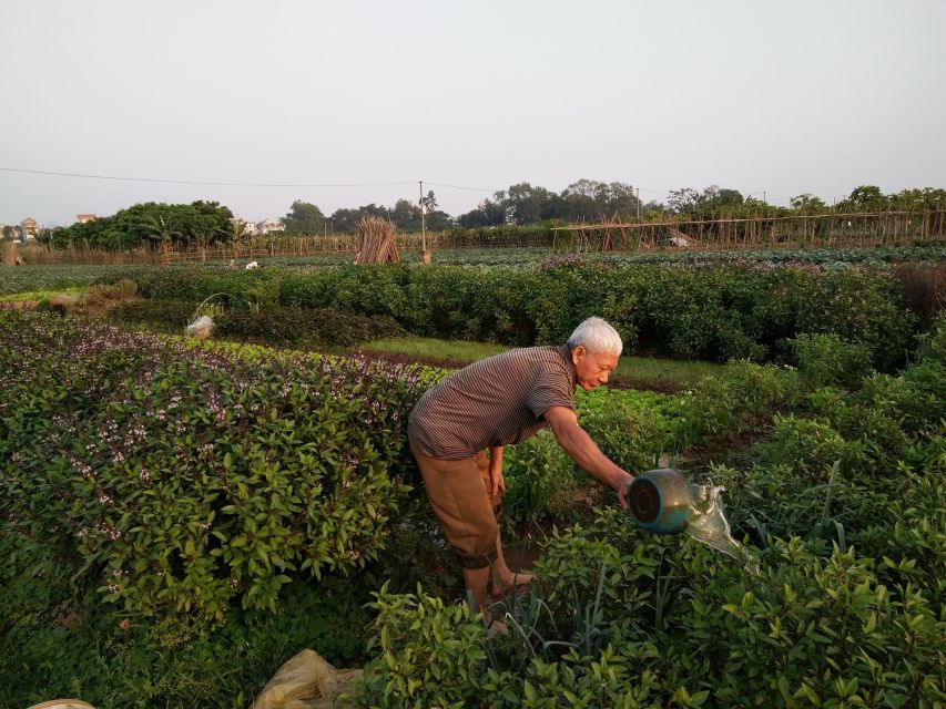 Hanoi Farm Tour and Cooking Class with Local Family - Who should book this experience?