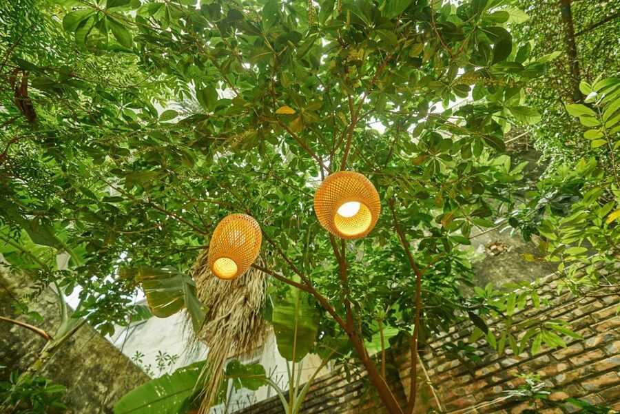 Hanoi’s Culinary: Authentic Cooking Class and Local Market - Starting the day with Hanoi’s local market