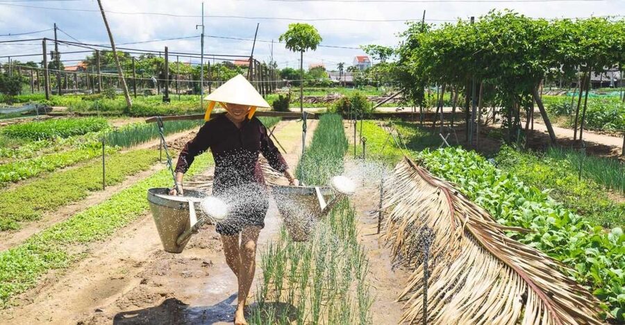 Hoi An: Authentic Cooking class in organic Herb Village - Key details to know before booking