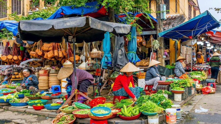 Hoi An: Authentic Cooking class in organic Herb Village - Starting with Hoi An’s local market