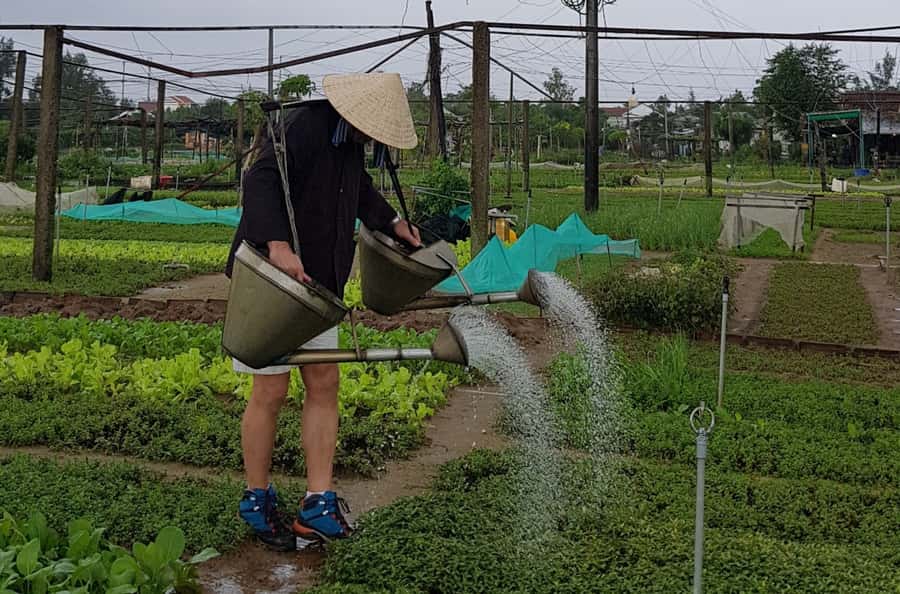 Hoi An Cooking Class With Market and Bamboo Basket Boat Tour - A quiet early ride through Bay Mau Coconut Village