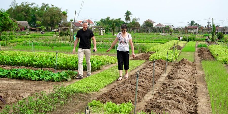 Hoi An Countryside Bicycle Tour - Farming - Cooking Class - What $42 really gets you