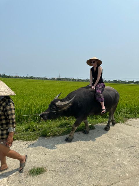 Hoi An / Da Nang: Lantern, Basket Boat & Cooking Class - Who should book this experience?