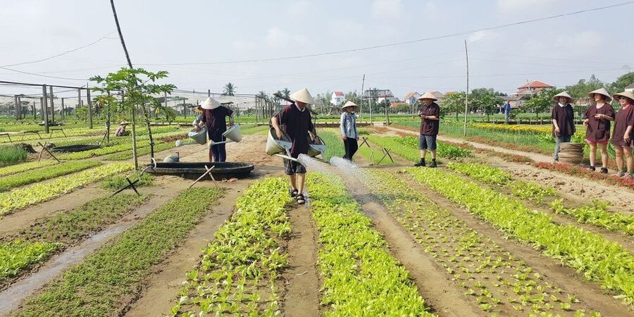 Hoi An: Evening Cooking Class with Locals in Herbs Village - The meeting point is the main practical weakness