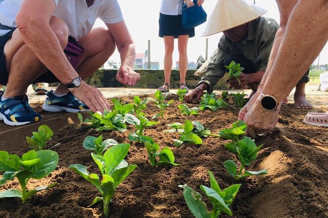 Hoi An Local Market and Vegetable Village Cooking Class - Why this Hoi An food tour works