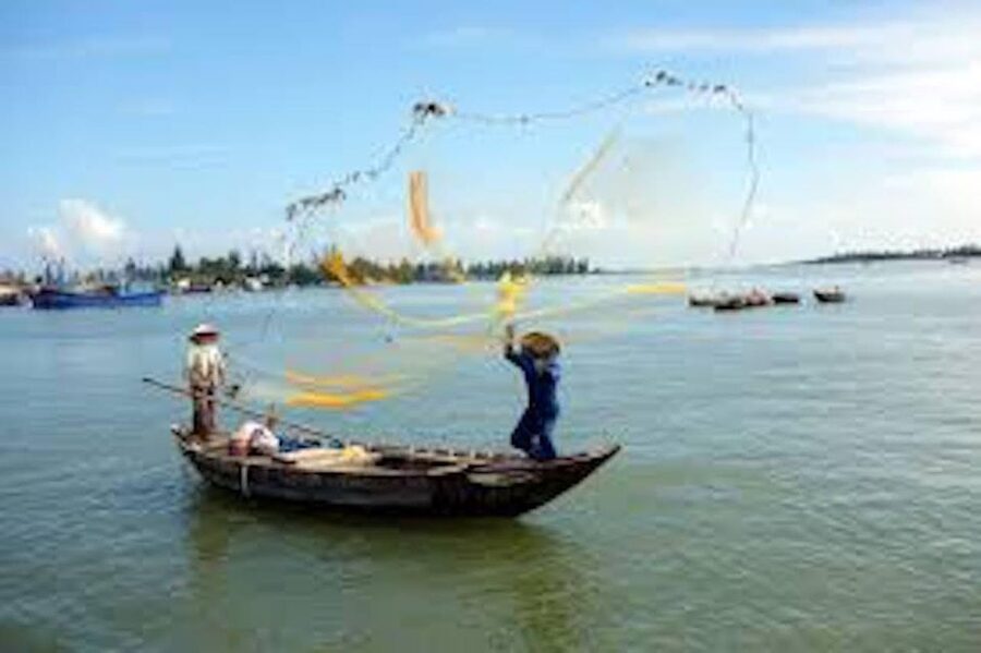 Hoi An: Market tour - Cam Thanh Cooking Class & Basket Boat - Who will enjoy this five-hour outing