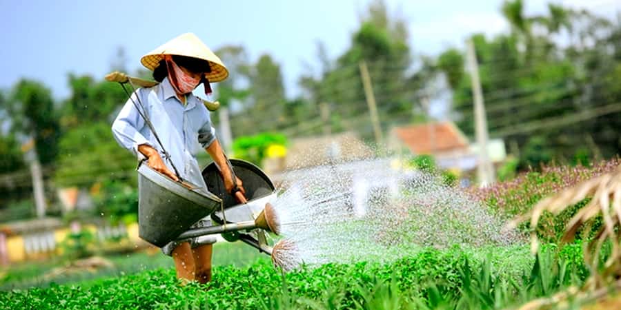 Hoi An: Tra Que Herb Village Cooking Class - How to make the most of your visit