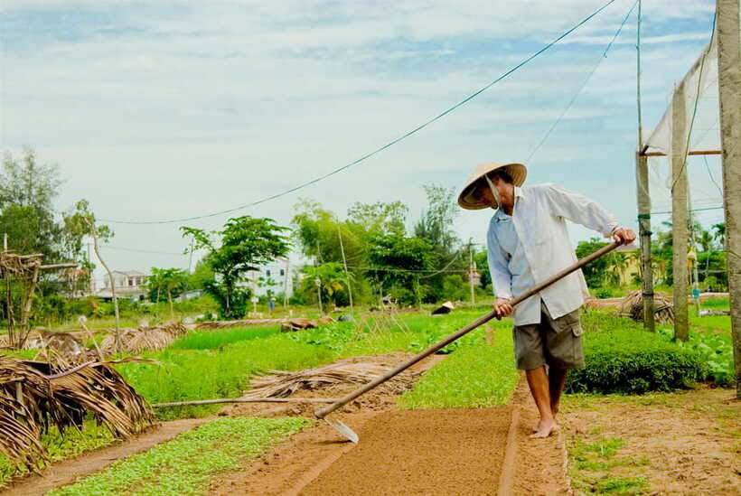 Hoian/Da Nang: Fishing, basket riding and cooking class - Trying The Traditional Round Net