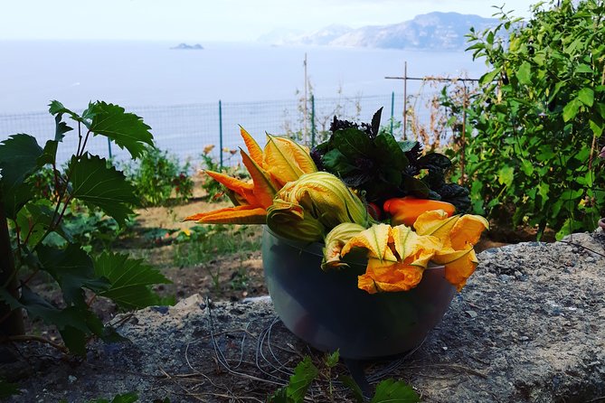 I offer cooking lesson of Amalfi tradition - Homemade wine adds to the meal