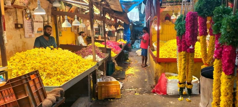 Indian Cooking & Market Tour in Pondicherry with Manisha Ray - Key Points to Know Before You Book