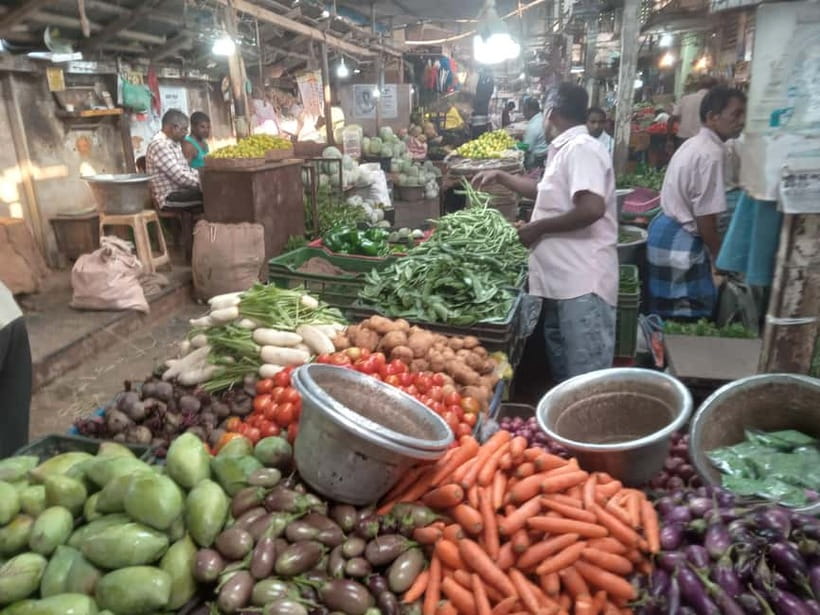 Indian Cooking & Market Tour in Pondicherry with Manisha Ray - Price, Group Size, and Overall Value