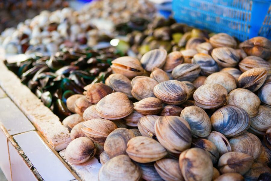 Ischia: Market Tour & Cooking Class at a Local's Home - Key details at a glance