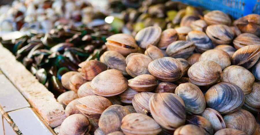Ischia: Market Tour & Cooking Class at a Local's Home - From Ischia’s market to a local kitchen