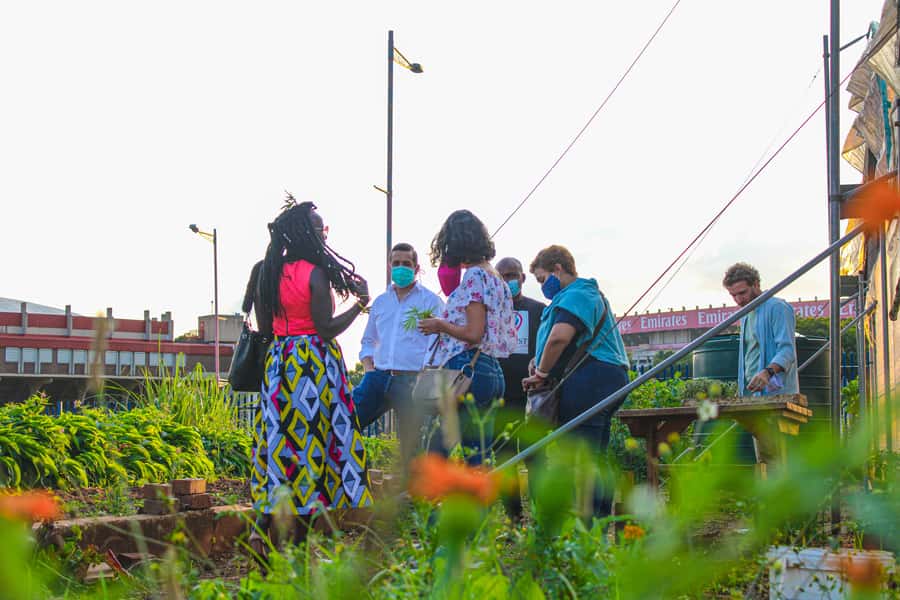 Johannesburg: Pan-African Cooking & Dinning Experience - Cooking across the African continent