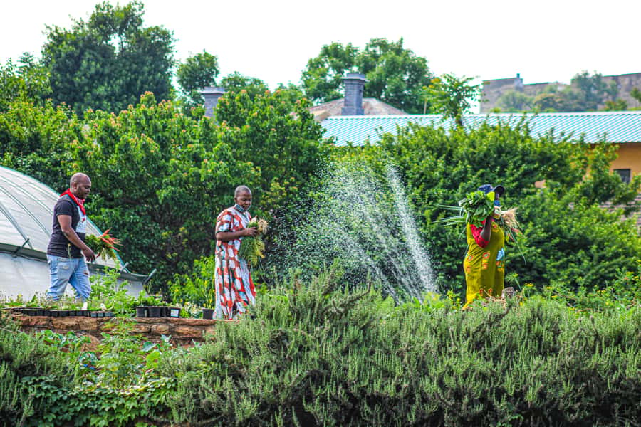 Johannesburg: Pan-African Cooking & Dinning Experience - Who should book this experience?
