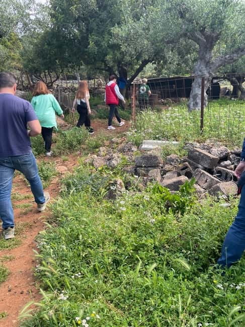 Kalamata: Farm-to-Table Experience with Cooking - Who Will Enjoy This Experience Most