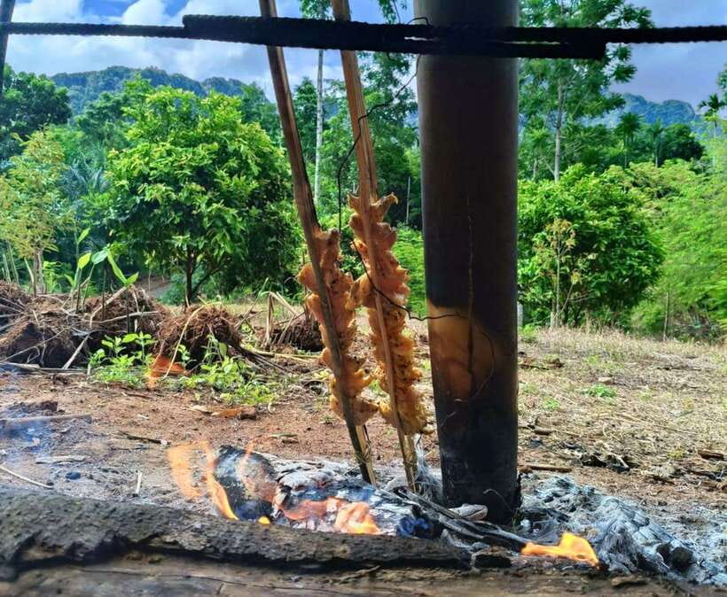 Khao Sok: Private Authentic Jungle Cooking Experience - Practical details for planning your day