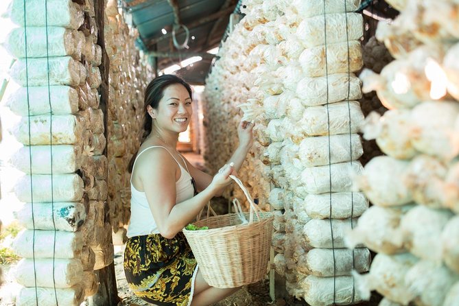 Khmer Cooking Class at a Local's Home in Krong Siem Reap - The local market visit: best in the morning