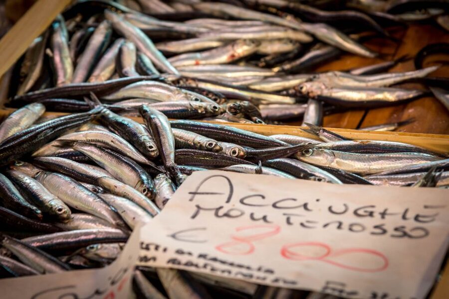 La Spezia: Market Visit and Seafood Cooking Class with Lunch - What the three-hour schedule really gives you
