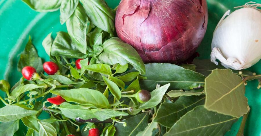 Lecce: Market and Private Cooking Class at a Local's Home - Starting at Lecce’s local market