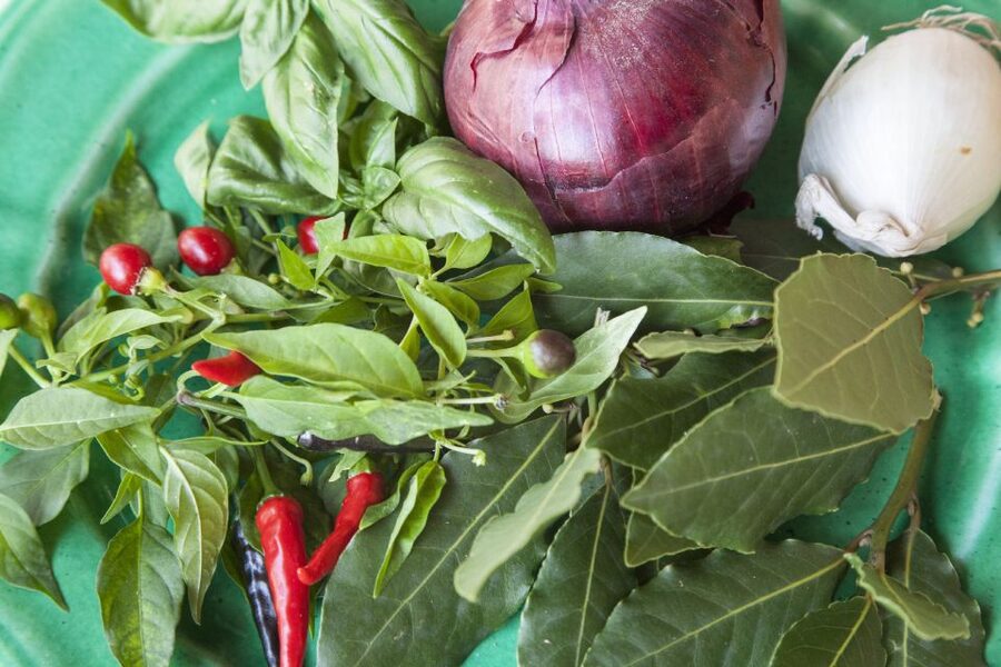 Lecce: Private Cooking Class at a Local's Home - Booking details that matter in Lecce