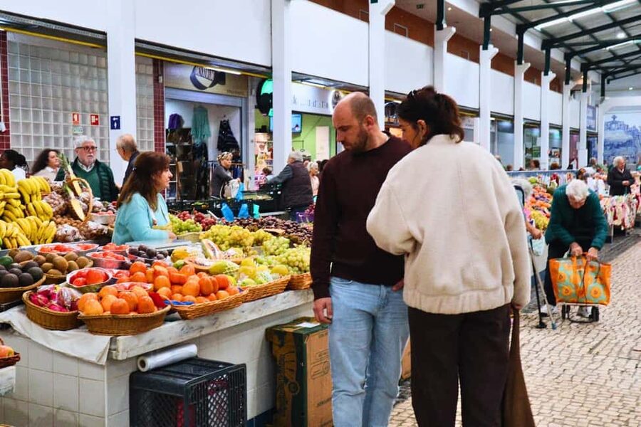 Lisbon: Setúbal Market and Wine tour with Cooking class - Who should book this Setúbal experience?