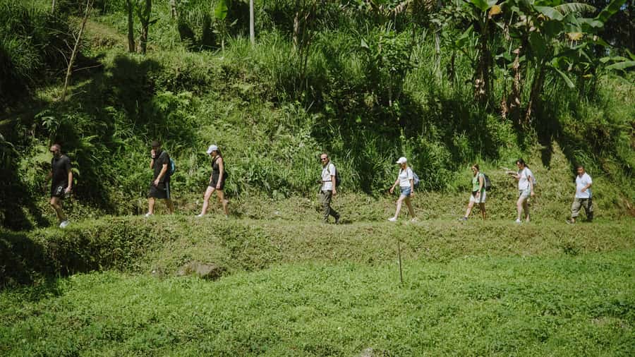 Lombok: Tetebatu Walk, Waterfall, Monkey Forest & Cooking - Lunch, Sasak cooking, and the choice to get your hands dirty